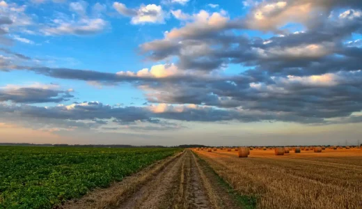 下のソーシャルリンクからフォロー