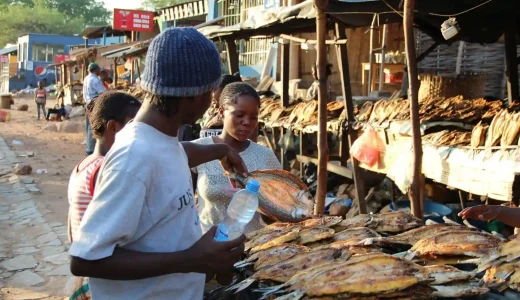 下のソーシャルリンクからフォロー