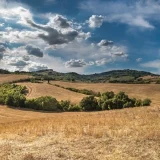 農業で売上を上げる販路開拓、コツ・基礎知識を解説！