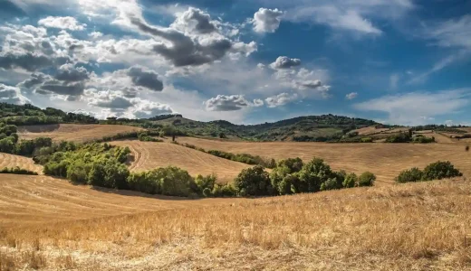 下のソーシャルリンクからフォロー