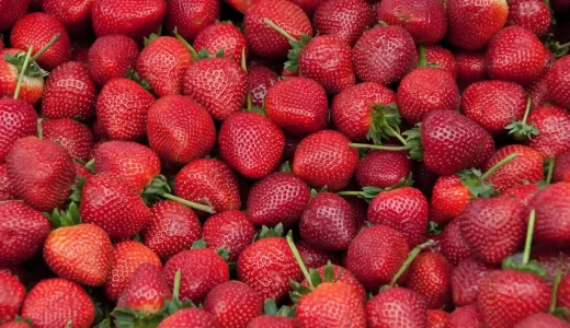 下のソーシャルリンクからフォロー