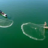 日本の水産物輸出の現状は？基礎知識や基本戦略を解説！