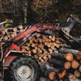 木材輸出ビジネスとは？その現状や課題に迫る！