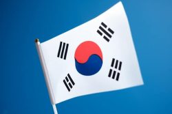 空を背景にした韓国国旗