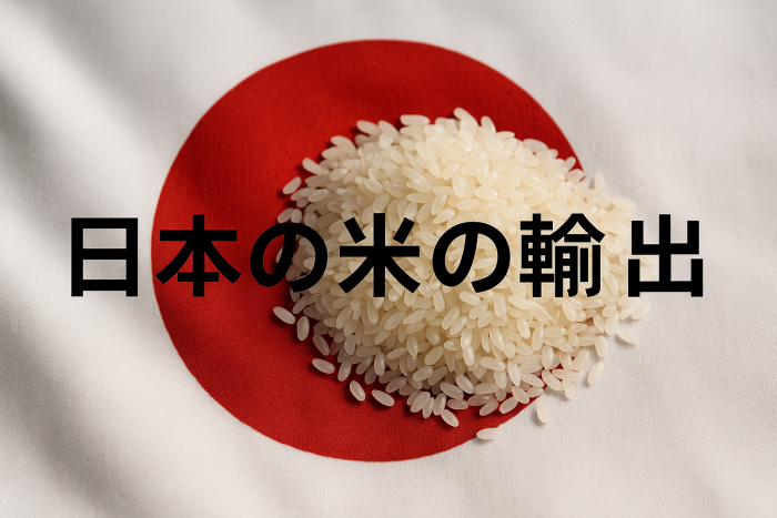 なぜ日本は米を輸出するのか？背景と実情をわかりやすく徹底解説