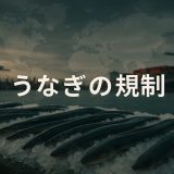ワシントン条約でウナギが規制される？国際提案の内容とその波紋