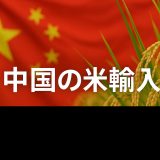 【2025年最新版】中国の米輸入の最新動向と日本への影響とは