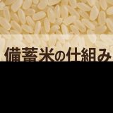 【徹底解説】備蓄米の仕組みと最新事情：価格・品質・流通のすべて